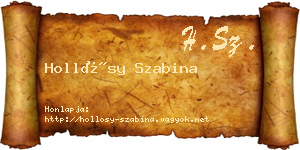 Hollósy Szabina névjegykártya