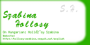 szabina hollosy business card